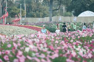 BIB: 
                            <button type="button" onclick="openModal(27343979)" class="btn btn-primary btn-sm float-right btn-popup" data-toggle="modal" data-target=".modal-high-quality">
                        <i class="fas fa-shopping-cart"></i> Add to Cart
                    </button>
                                            <button type="button" onclick="isThisMe(27343979, true)" class="btn btn-success btn-sm float-right btn-popup btn-isme hidden" data-toggle="tooltip" data-placement="bottom" title="นี่คือรูปของคุณใช่ไหม คลิกที่นี่เพื่อเอาเข้าอัลบั้ม">
                        <i class="fas fa-plus"></i> Add to album
                    </button>
                    <button type="button" onclick="isThisMe(27343979, false)" class="btn btn-warning btn-sm float-right btn-popup btn-isnotme hidden">
                        <i class="fas fa-ban"></i> Remove from album
                    </button>